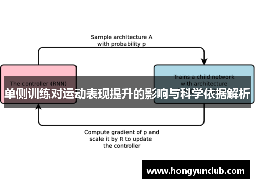 单侧训练对运动表现提升的影响与科学依据解析